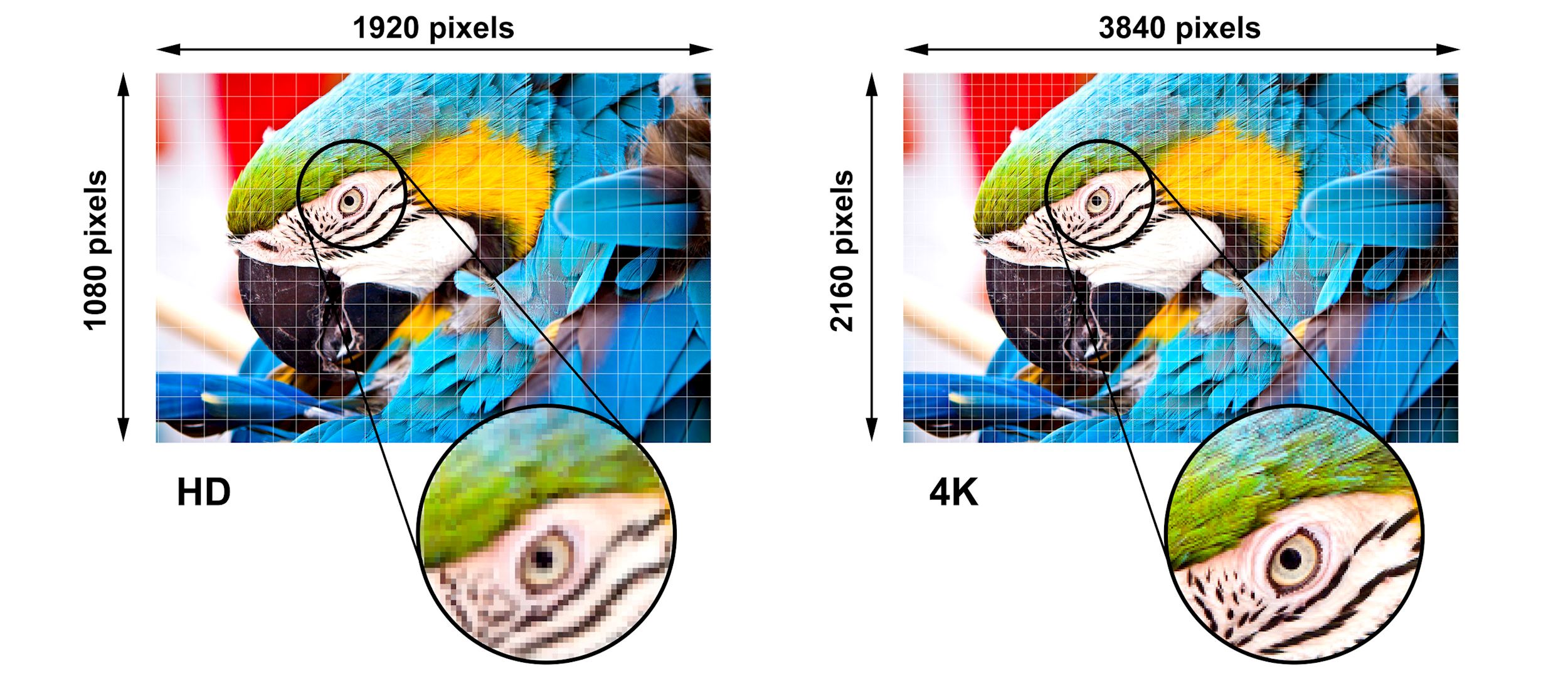 Ultra HD 4K Resolution